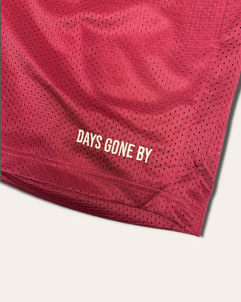 Concealed Pocket Mesh Shorts - Burgundy